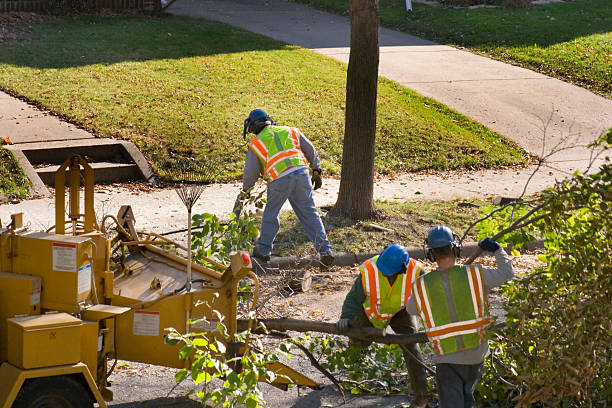 Seasonal Cleanup in Port Orange, FL